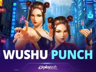 Wushu Punch™